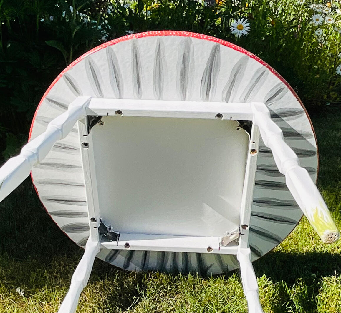 Mushroom Gill Bottom